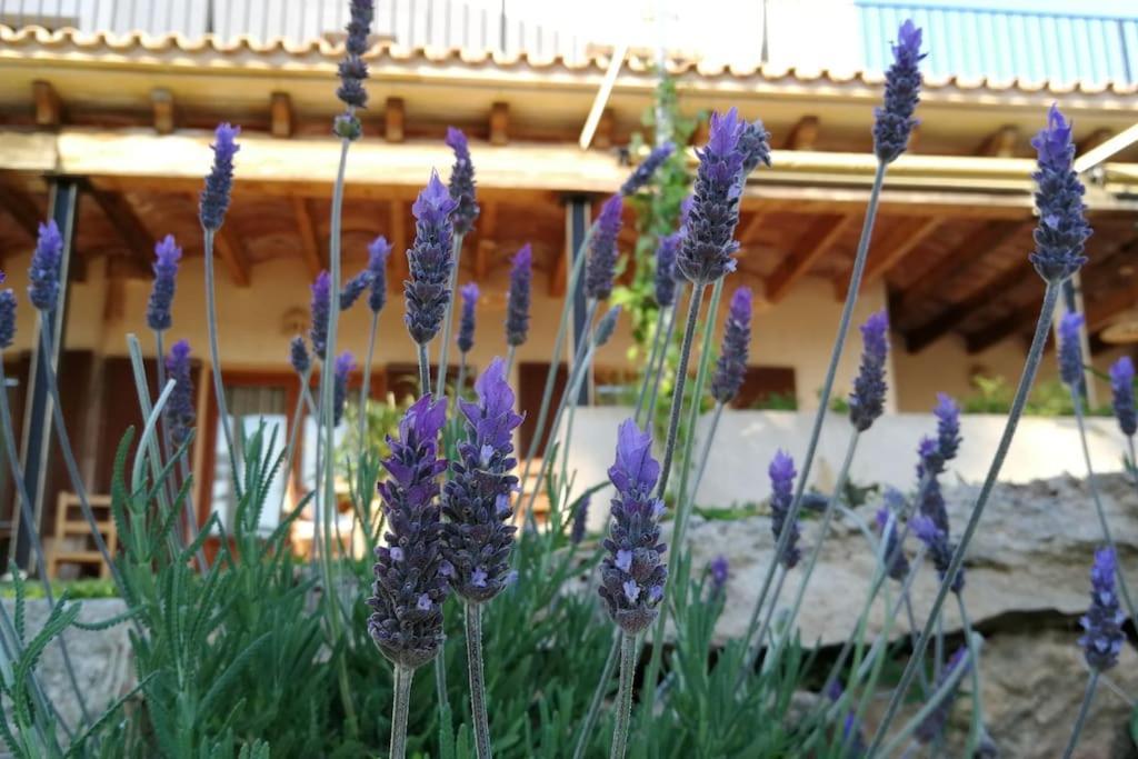 Finca Rural S'Estepa Пальма-де-Майорка Экстерьер фото