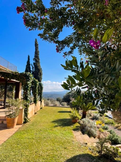 Finca Rural S'Estepa Пальма-де-Майорка Экстерьер фото